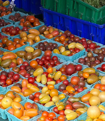 Plastikowa taca na żywność