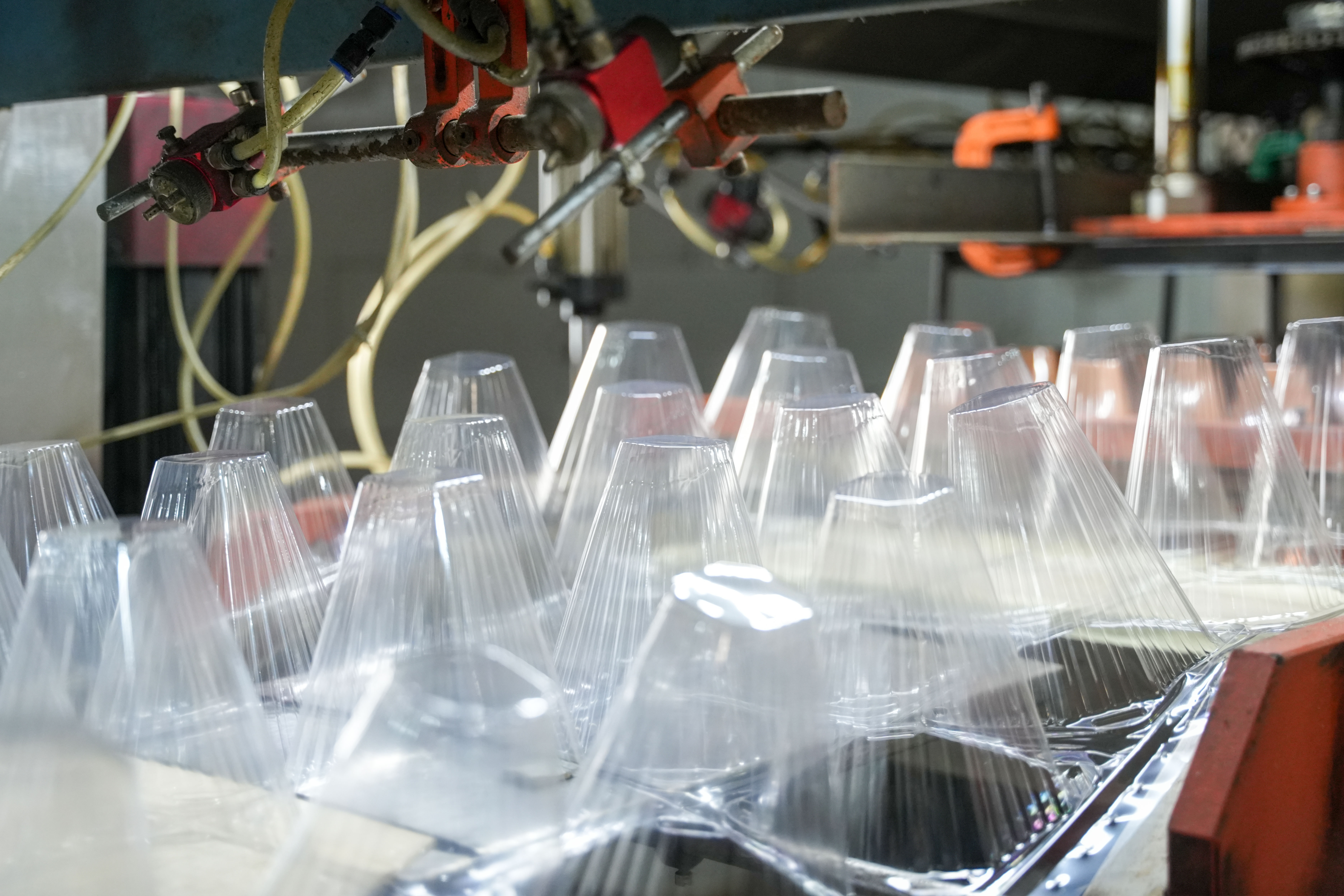 W jaki sposób jednorazowa plastikowa osłona na sadzonki chroni sadzonki przed szkodnikami, owadami i małymi zwierzętami?